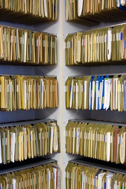 Journée internationale des archives 2023 organiser une cleaning day pour désengorger les locaux de conservation des documents.